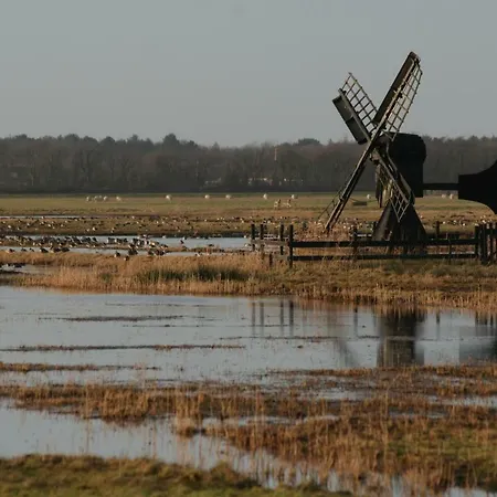 't Lant Texsel Bed & Breakfast De Koog (Texel)