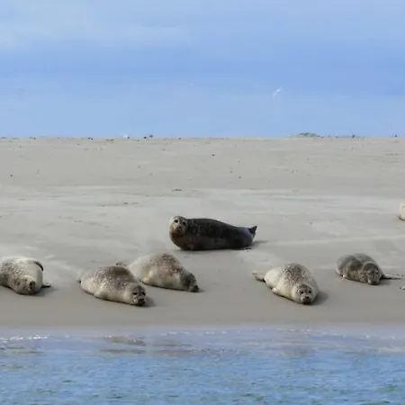 't Lant Texsel Bed & Breakfast 3*