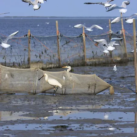 't Lant Texsel De Koog (Texel)