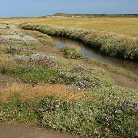 't Lant Texsel 3* De Koog (Texel)