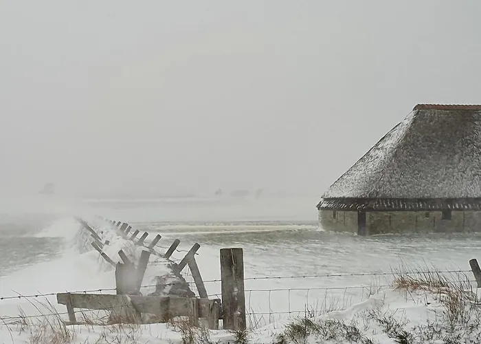 Oda ve Kahvaltı 't Lant Texsel