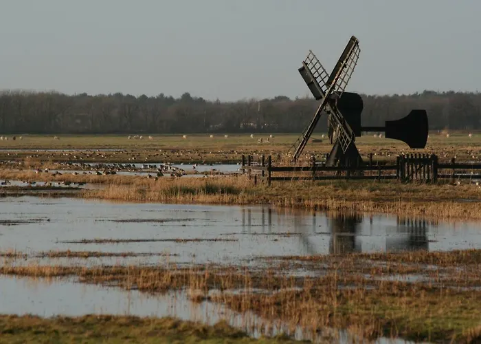 't Lant Texsel Oda ve Kahvaltı De Koog (Texel)