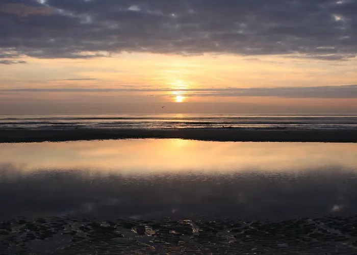 't Lant Texsel 3* De Koog (Texel)