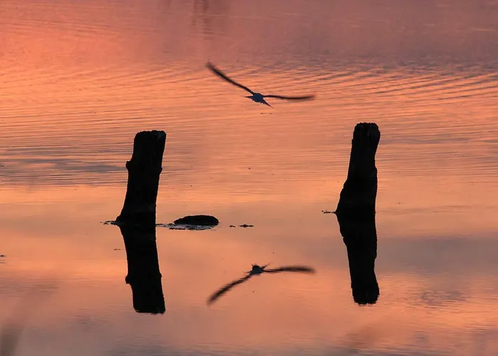 Oda ve Kahvaltı 't Lant Texsel