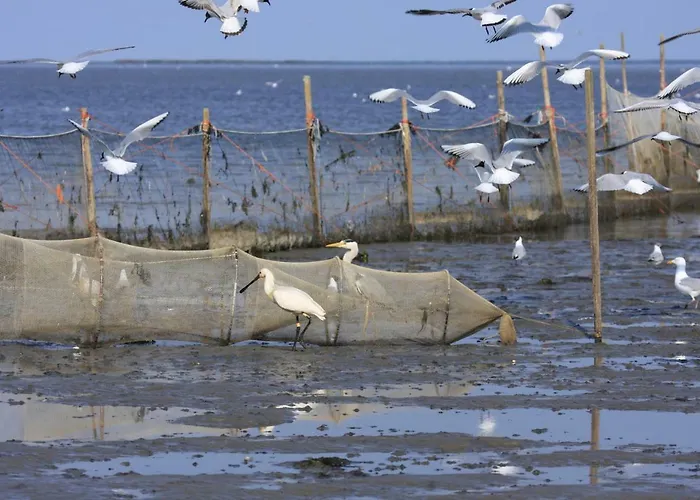 't Lant Texsel De Koog (Texel)