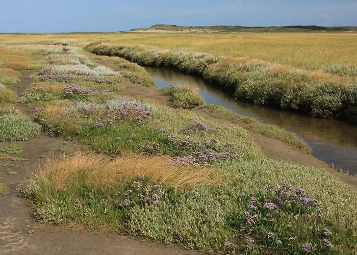 't Lant Texsel 3* De Koog (Texel)