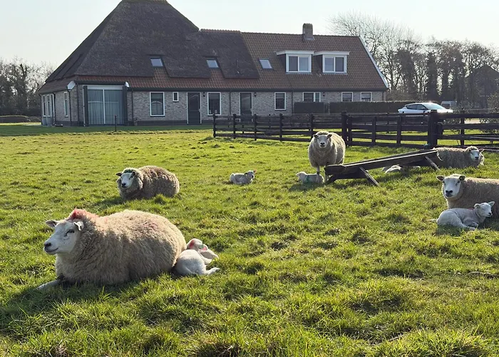 't Lant Texsel Отель типа 