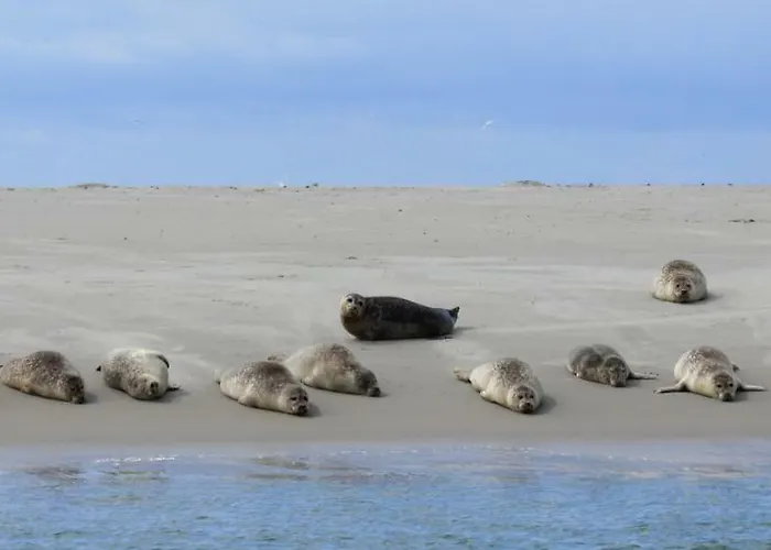 't Lant Texsel Отель типа 